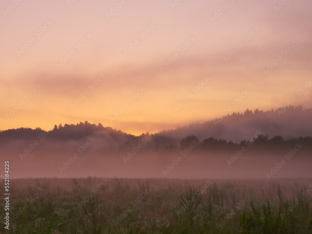 Misty pink sunrise over river side. Violet sunrise over the water