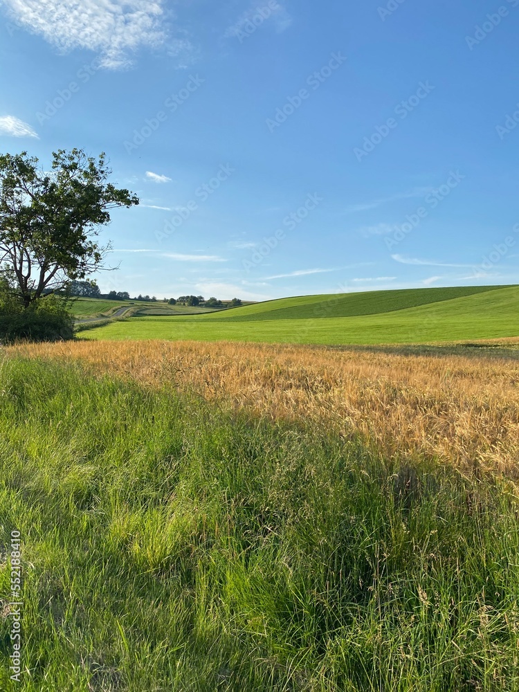 green field and blue sky green field and blue sky