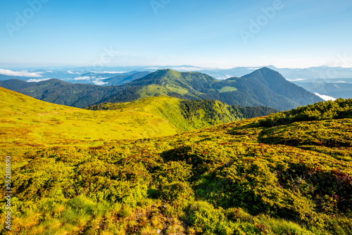 Peaceful summer day with green hills illuminated by the sun. Carpathian mountains, Ukraine.