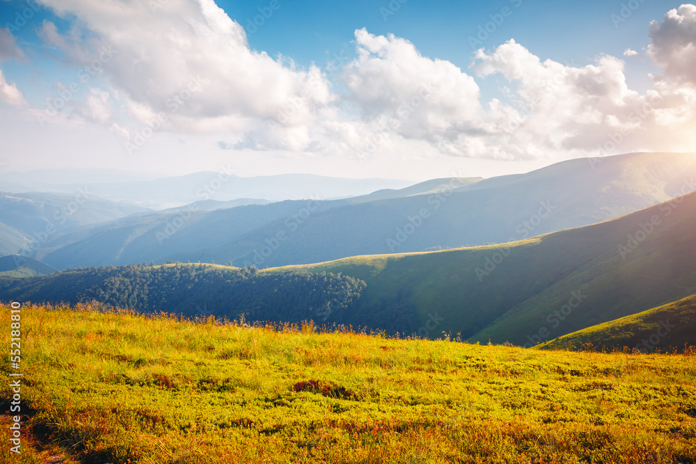 Attractive summer day with green hills illuminated by the sun. Carpathian mountains, Ukraine, Europe.