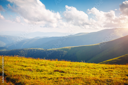 Attractive summer day with green hills illuminated by the sun. Carpathian mountains  Ukraine  Europe.