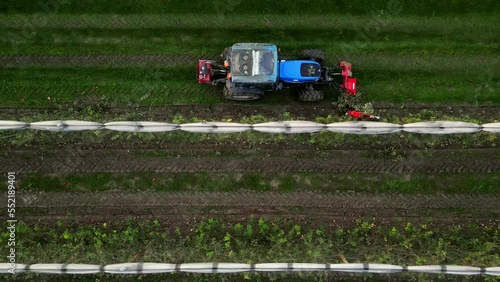 Mechanical cutting of apple branches with a tractor. Pruning overhanging branches in an apple field with hail nets. Drone shot on a tree trimming machine photo