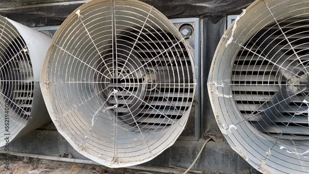 CONCEPT, Modern poultry production, Variable Speed Exhaust Fans for