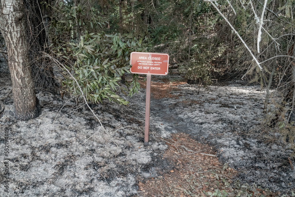Firefighter Fighting Wildfire in Forest in California