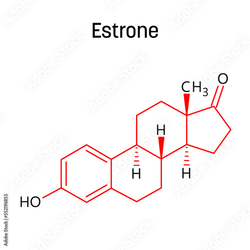 Estrone molecular structure. Estrone is a steroid, a weak estrogen, and a minor female sex hormone. Vector structural formula of chemical compound with red bonds and black atom labels.