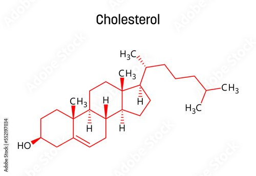 Cholesterol molecular structure. Cholesterol is a lipid and essential structural component of animal cell membranes. Vector structural formula of chemical compound with red bonds and black atom labels