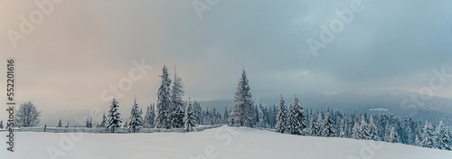 Beautiful snowy fir trees in frozen mountains landscape in sunset. Christmas background with tall spruce trees covered with snow. Alpine ski resort. Winter greeting card. Happy New Year © Jukov studio