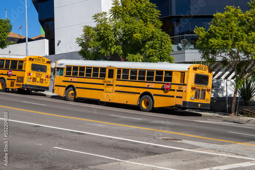 yellow and white school buses on the street surrounded by buildings and lush green trees in Hollywood, Los Angeles California USA photo