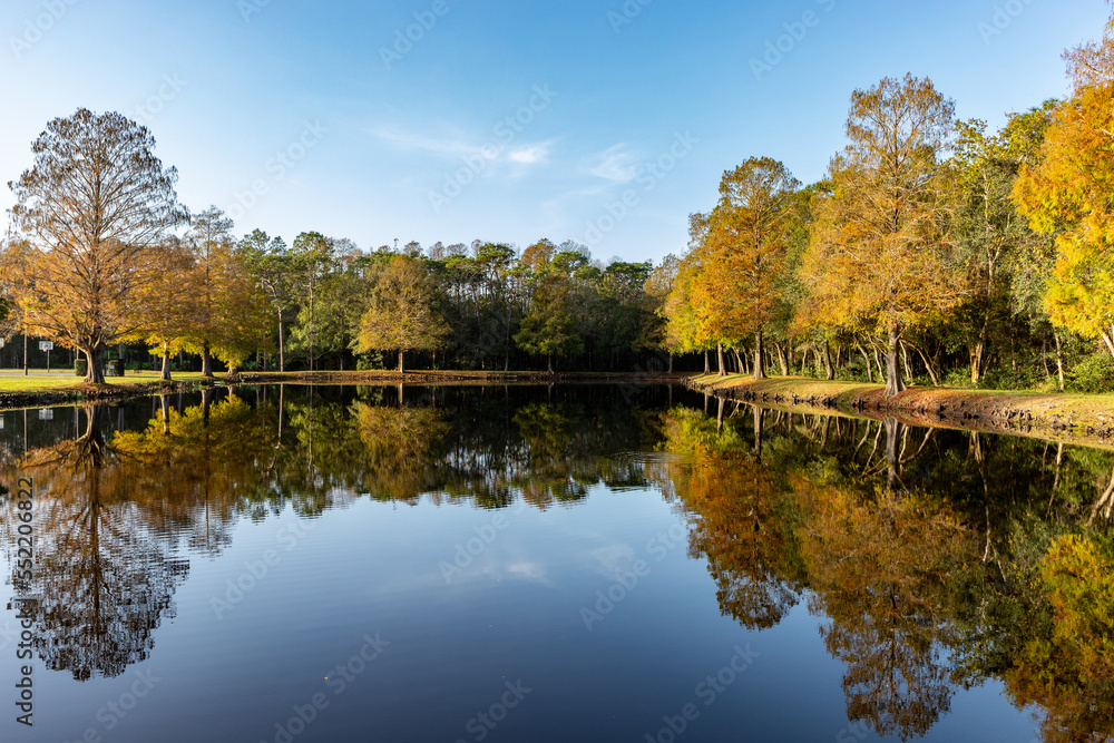 autumn trees reflected in water autumn trees reflected in water