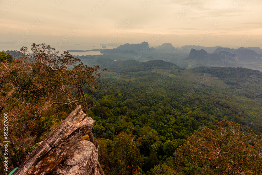Naklejka premium The view of the natural background of the mountain close-up, with blurred fog scattered in the rainy season or the humid climate, with beautiful green trees in the ecological system
