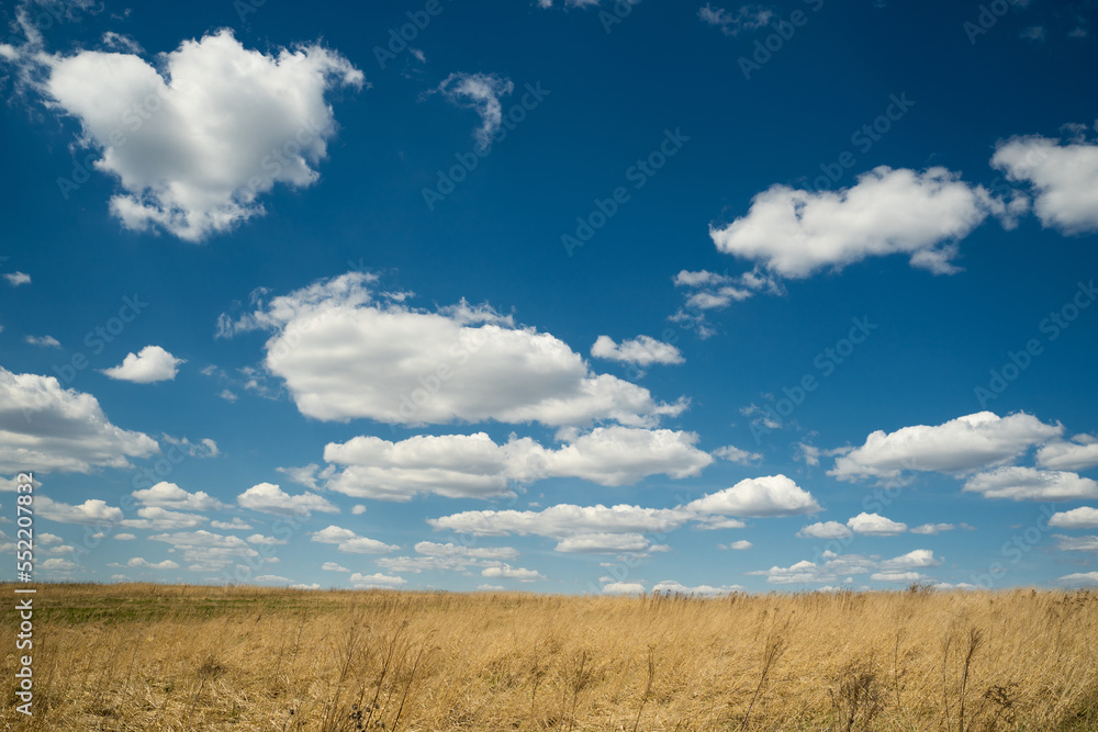 beautiful landscape of blue sky with clouds and field in Ukraine
