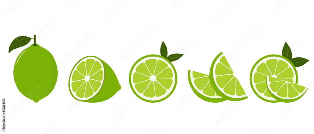 Fresh lime fruit. Collection of lime vector icons isolated on white background. Vector illustration for design and print