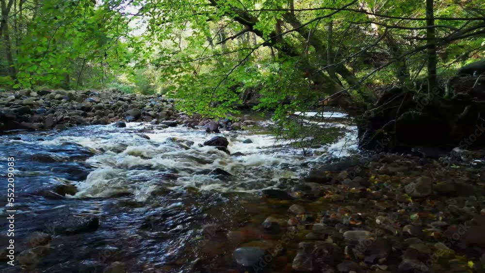 River Gelt in the woods - Cumbria River Gelt in the woods - Cumbria