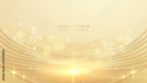 Luxury background with golden lines, sparkle glowing effect and bokeh decoration. Elegant style design concept