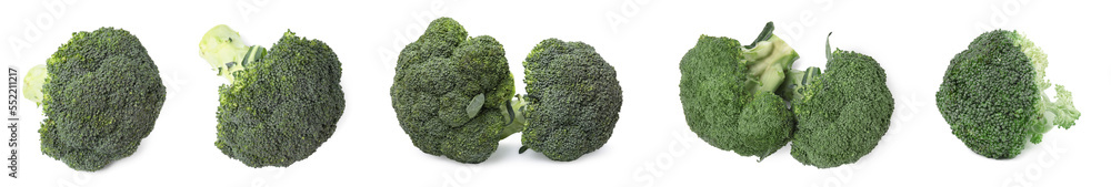 Set with fresh green broccoli on white background. Banner design Set with fresh green broccoli on white background. Banner design