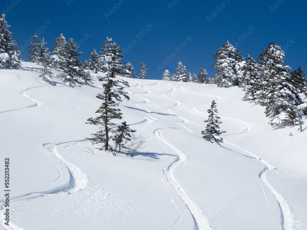 山スキー　新雪のシュプール