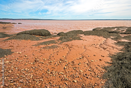 Red Water, Rocks, Mud, and Seaweed at Low Tide