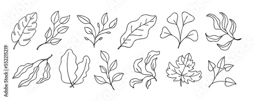 Leaves vector sketch set. Hand drawn decorative elements, isolated on white background. Botanical illustration in doodle style