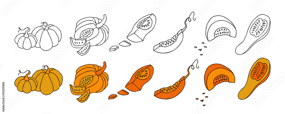 Set of design elements, isolated on white background. Autumn design template, hand drawn pumpkins, flat vector illustration