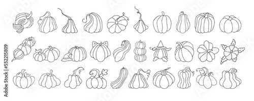 Set of design elements, isolated on white background. Autumn design template, hand drawn pumpkins, flat vector illustration