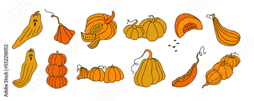 Set of design elements, isolated on white background. Autumn design template, hand drawn pumpkins, flat vector illustration