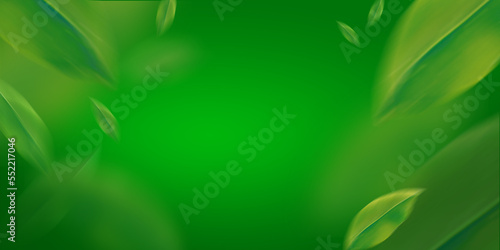 copy space green grass background