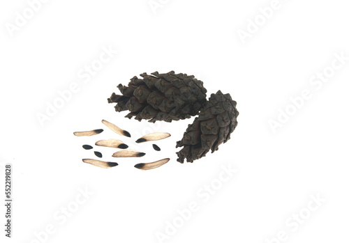 Pine (conifer) cone,  seed cone,  ovulate cone on white background photo