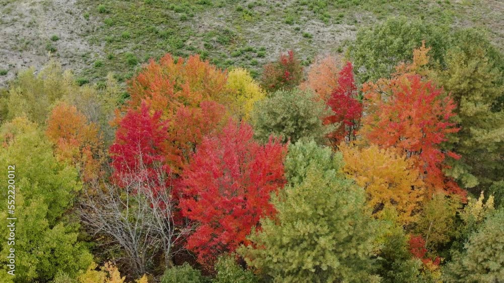 Aerial view around vibrant trees, foliage in New England, United states of America Aerial view around vibrant trees, foliage in New England, United states of America