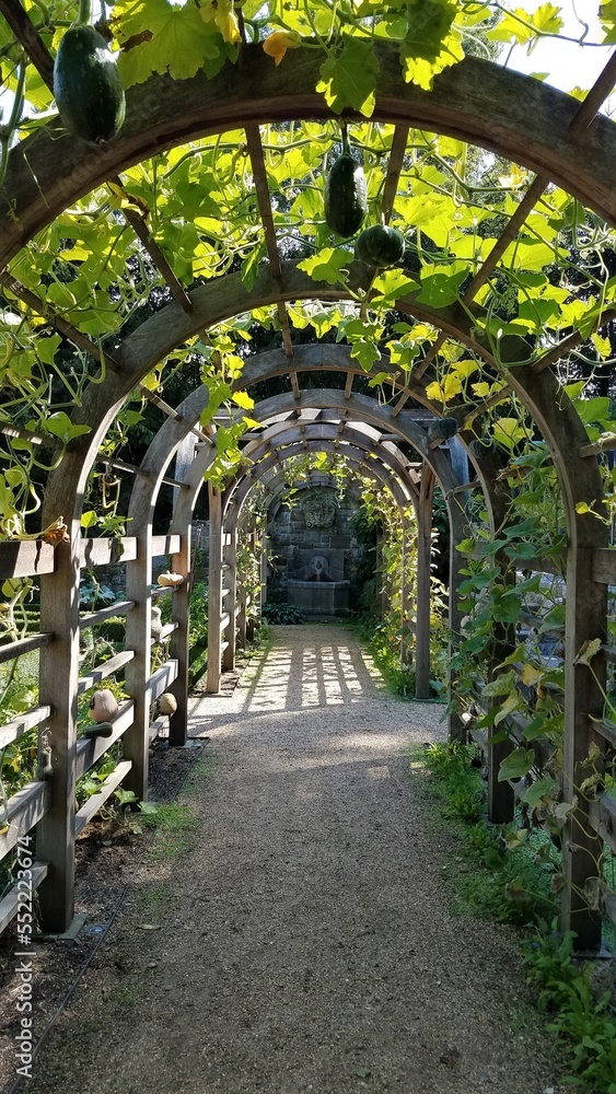 Beautiful arbor with Plantings in Garden Archway