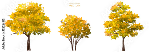 Vector watercolor blooming flower tree or forest side view isolated on white background for landscape and architecture drawing,elements for environment and garden,botanical for section in autumn   