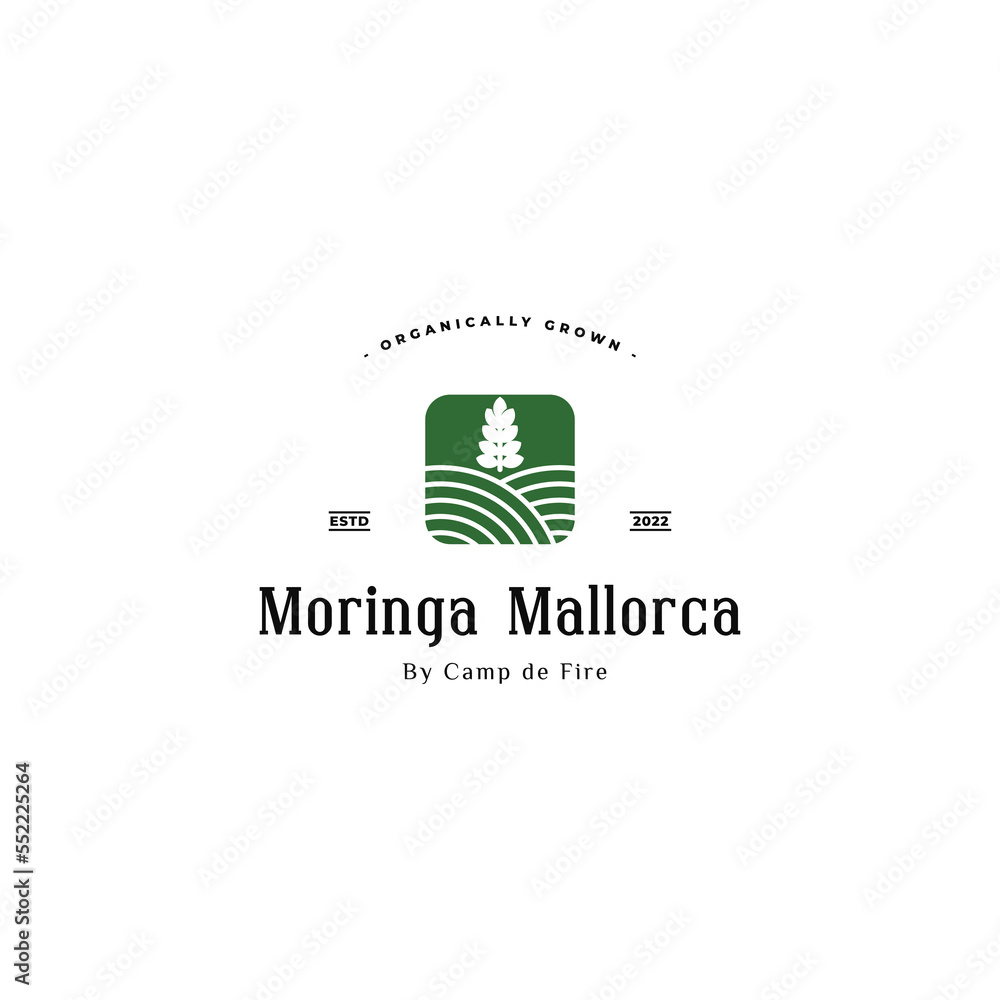 Moringa leaf logo design inspiration. Moringa plantation logo.