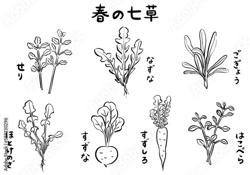 春の七草のイラスト　1色