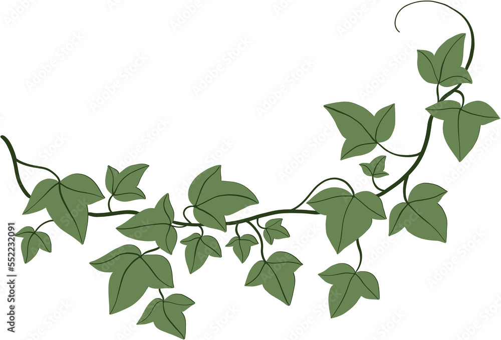 Simplicity ivy freehand drawing