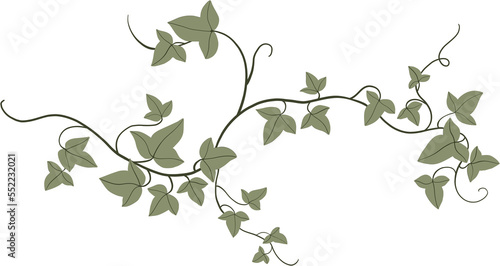 Simplicity ivy freehand drawing