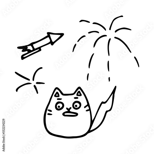 Photos cat frightened by fireworks