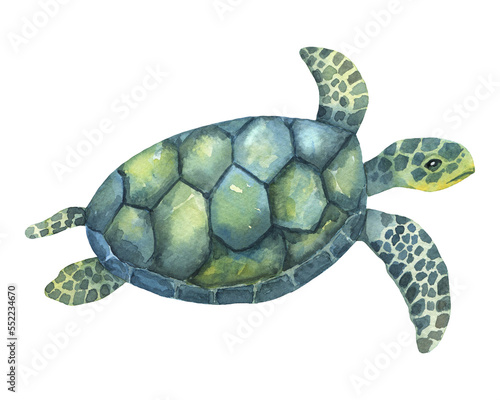 Blue and green watercolor swimming turtle isolated on white background. Hand drawn illustration ocean or underwater animal