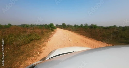 ranthambore national park safari road  Sawai Madhopur in Rajasthan car pov safari off road  sun photo