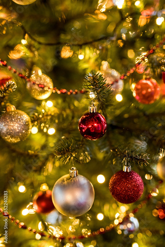 Elements of a decorated christmas tree