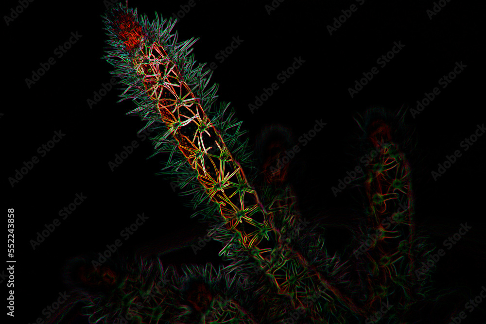 Illustration with a small cactus leaf, intense colors. Red and green. Abstract art with dark background.