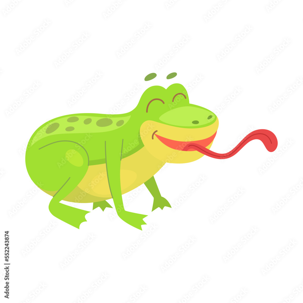 Naklejka premium Frog shows a long tongue. Vector illustration of small wild toad with tongue isolated on white