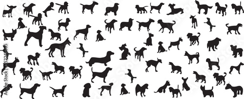 VECTOR ILLUSTRATION DOG SILHOUETTE ON A WHITE BACKGROUND © Dani