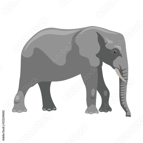 Elephant cartoon illustration. Big African mammal character with large ears and trunk on white background. Animal, zoo © PCH.Vector