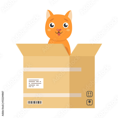 Cat hid in box cartoon illustration. Happy little and elderly pet character growing, playing with ball isolated on white background
