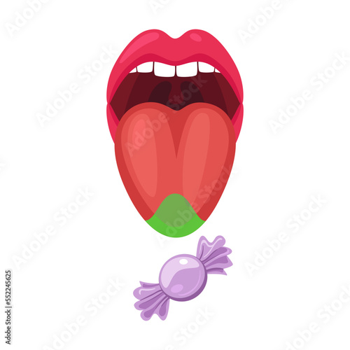 Basic lingual area such as sweet, spicy cartoon vector illustration. Human mouth and tongue taste receptors isolated on white