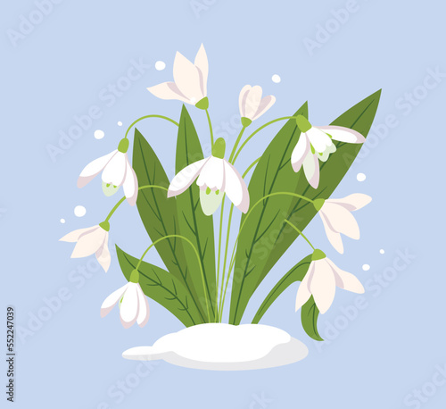 Snowdrop flowers concept. Symbol of spring season, design element for invitation and greeting postcard. Aesthetics and elegance, beauty. Floristry and nature. Cartoon flat vector illustration