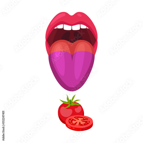Basic lingual area such as umami cartoon vector illustration. Human mouth and tongue taste receptors isolated on white
