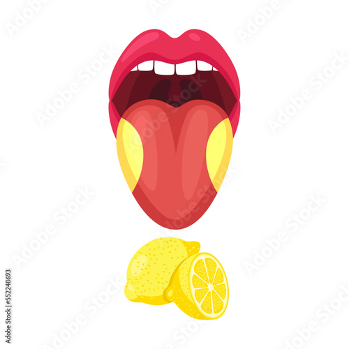 Basic lingual area such as sour cartoon vector illustration. Human mouth and tongue taste receptors isolated on white