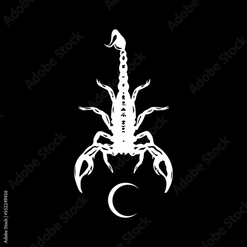 scorpion silhouette vector illustration concept