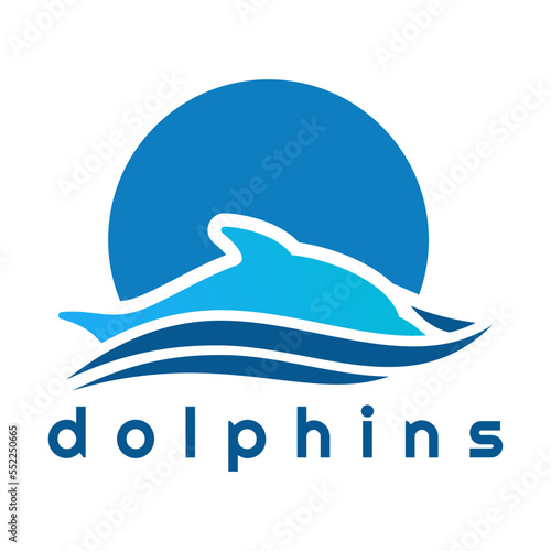 dolphins blue logo design vector
