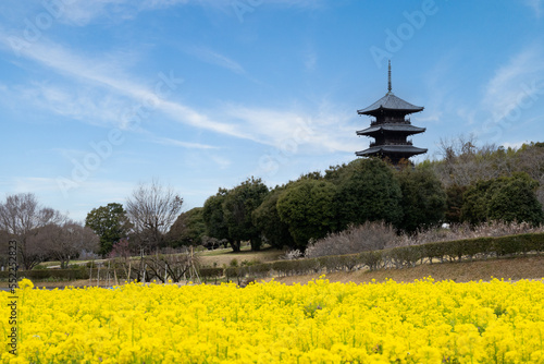 岡山県、備中国分寺の五重の塔